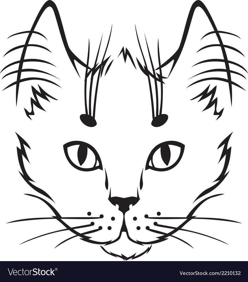 Мордочка кота трафарет