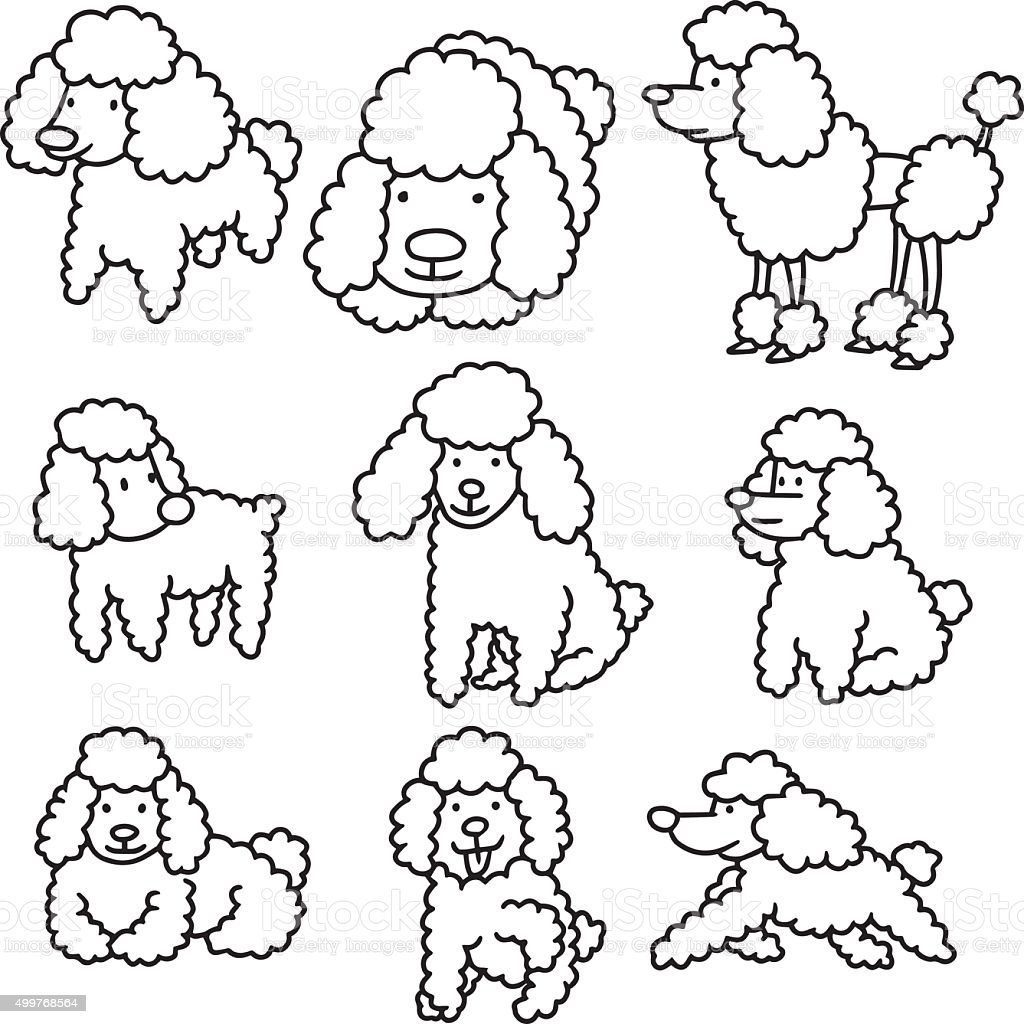 Пудель логотип