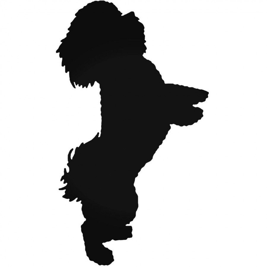 Бишон векторный рисунок