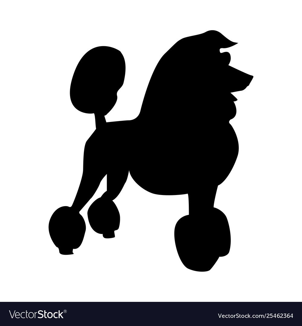 Очертания пуделя
