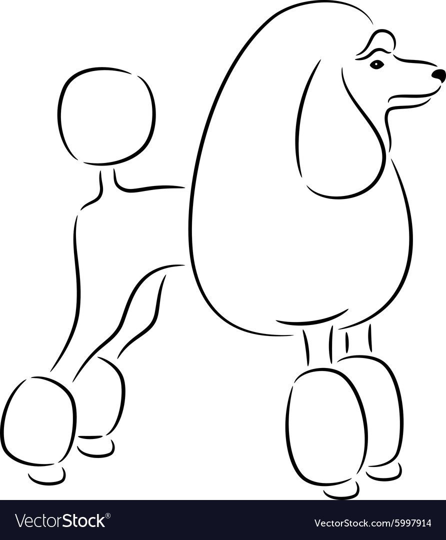 Пудель раскраска для детей