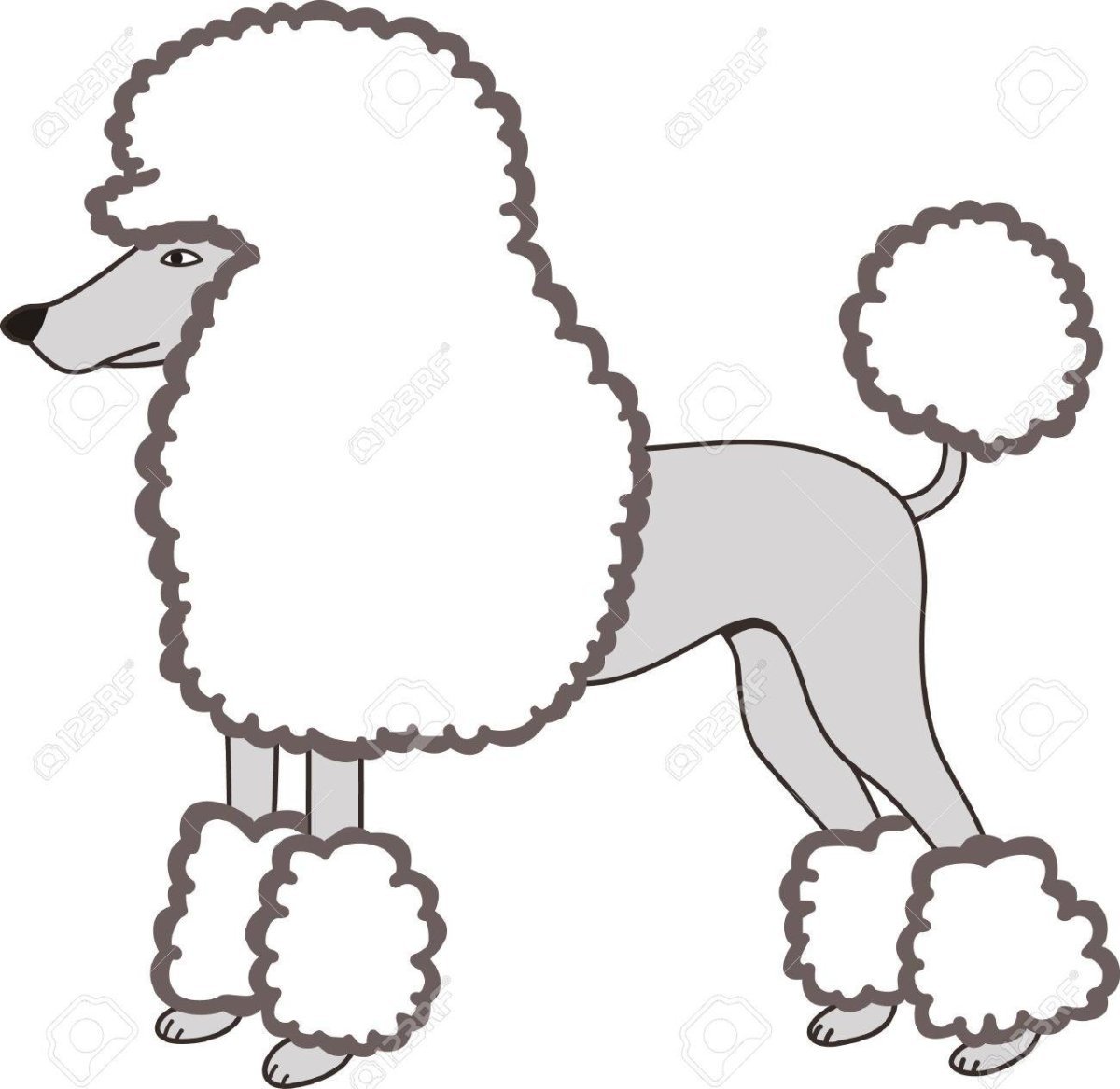 Силуэт морды пуделя