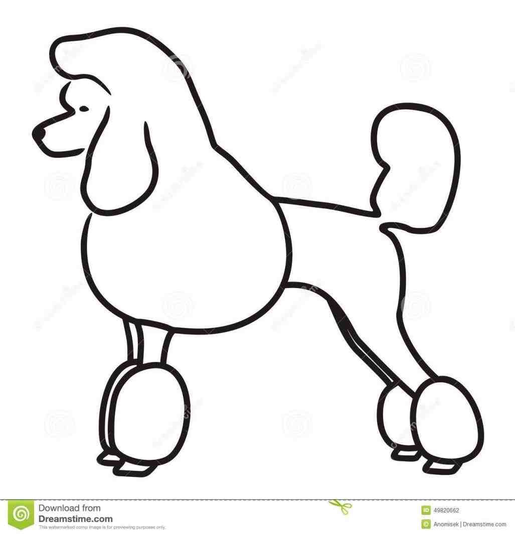 Силуэт пуделя