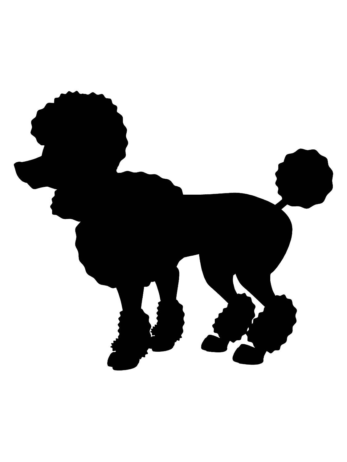 Собаки контуры пудель