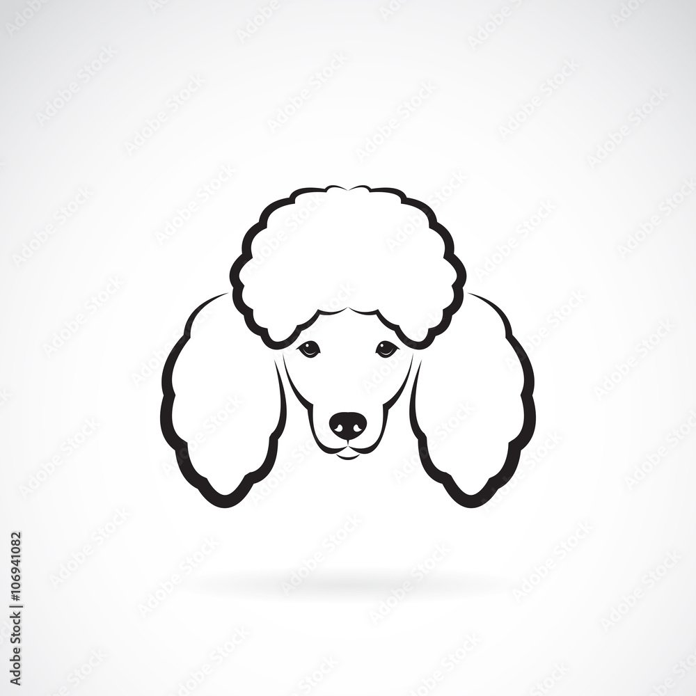 Раскраски карликовый пудель