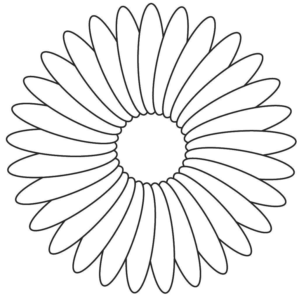 Ромашка раскраска