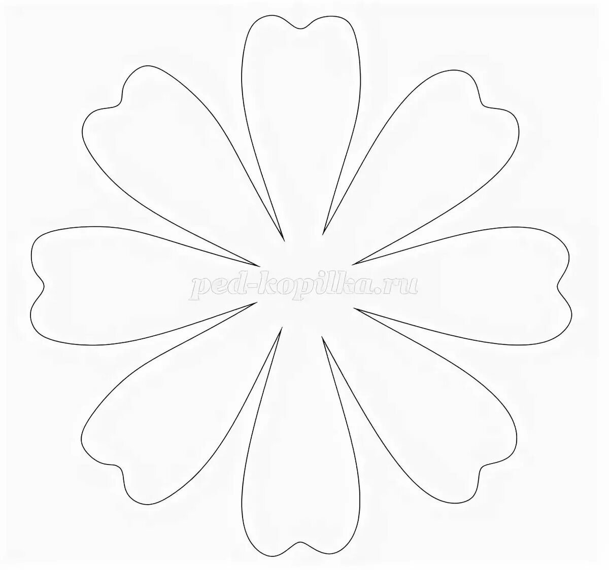 Черно-белые ромашки абстракция