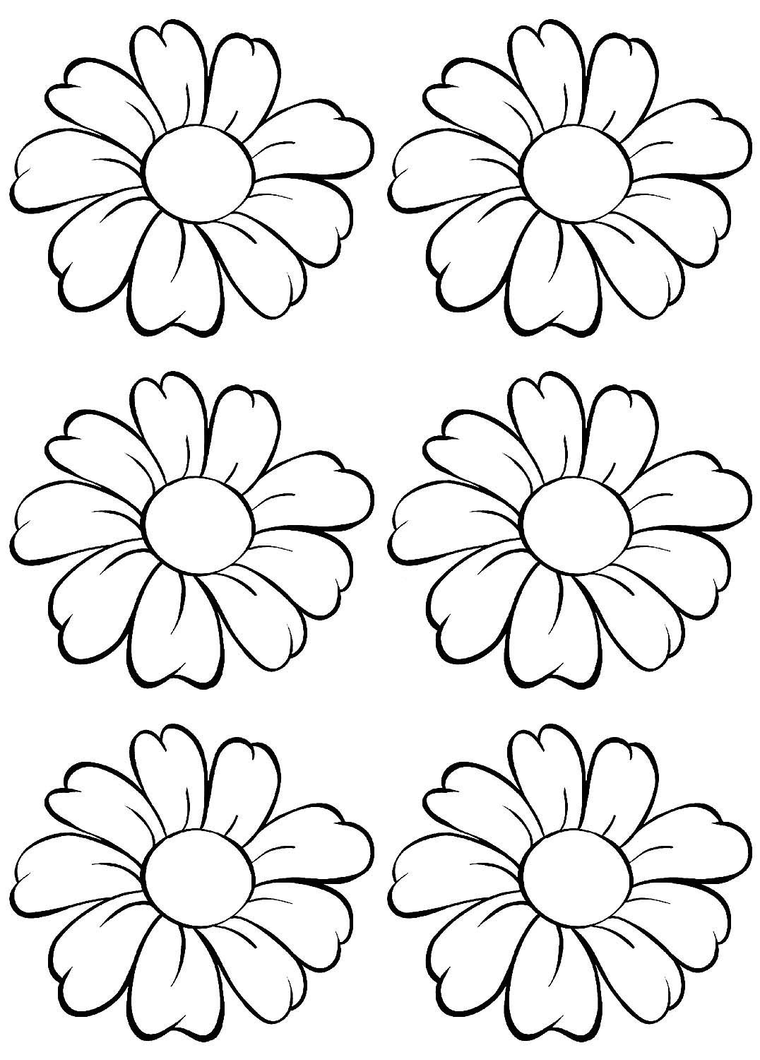 Лепесток ромашки раскраска