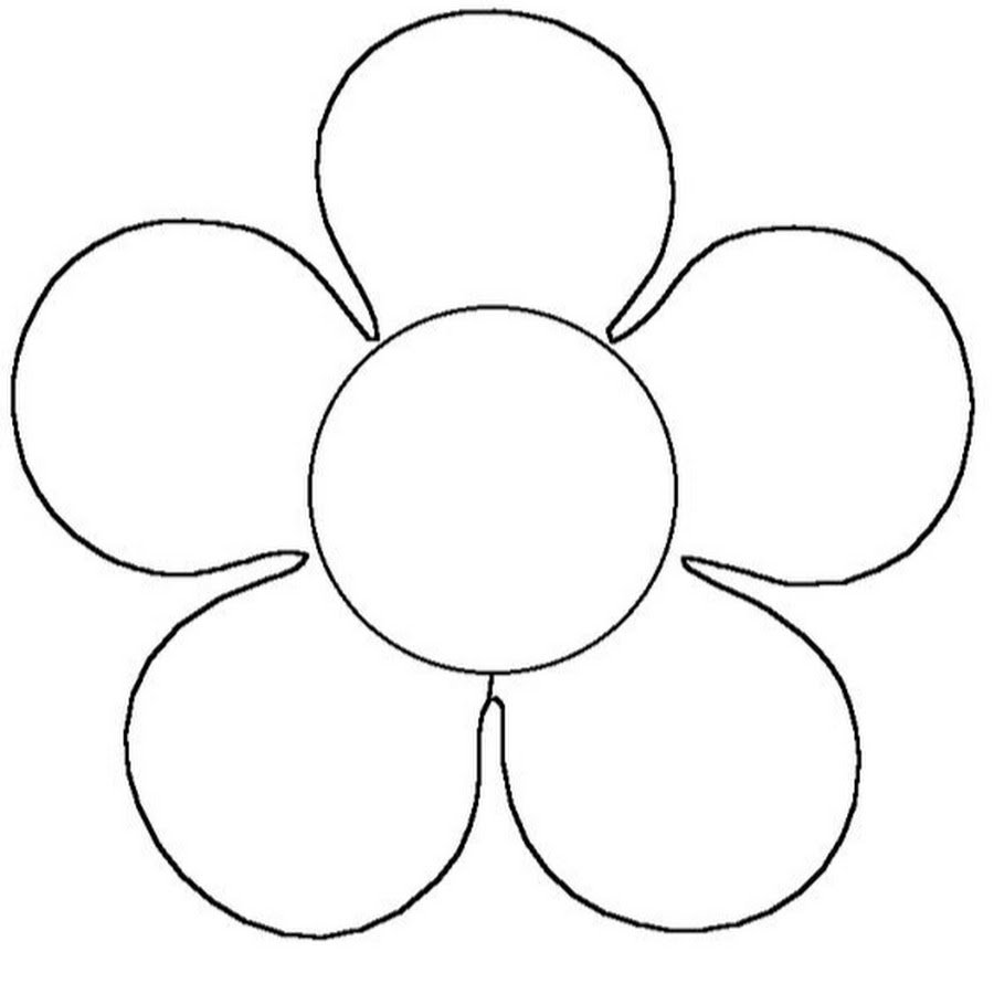 Трафарет цветка ромашки