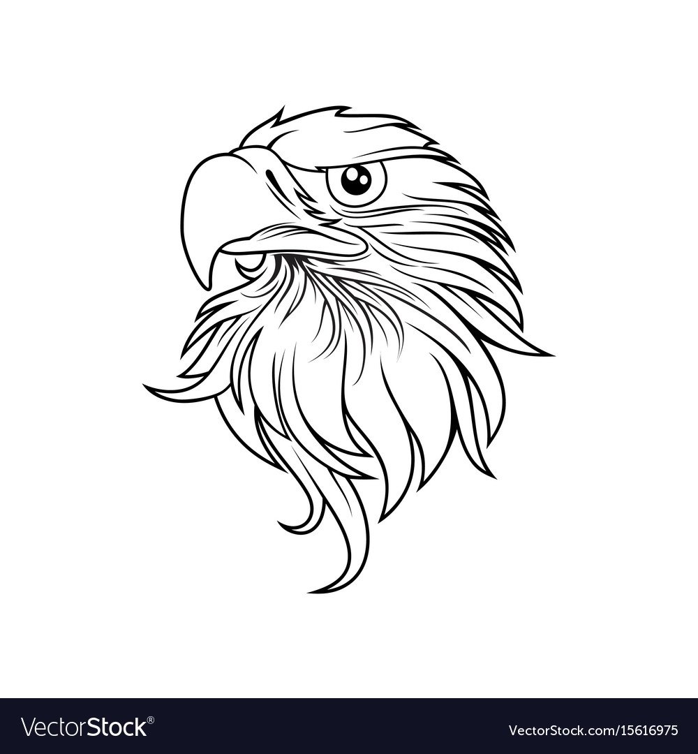 Морда орла Графика