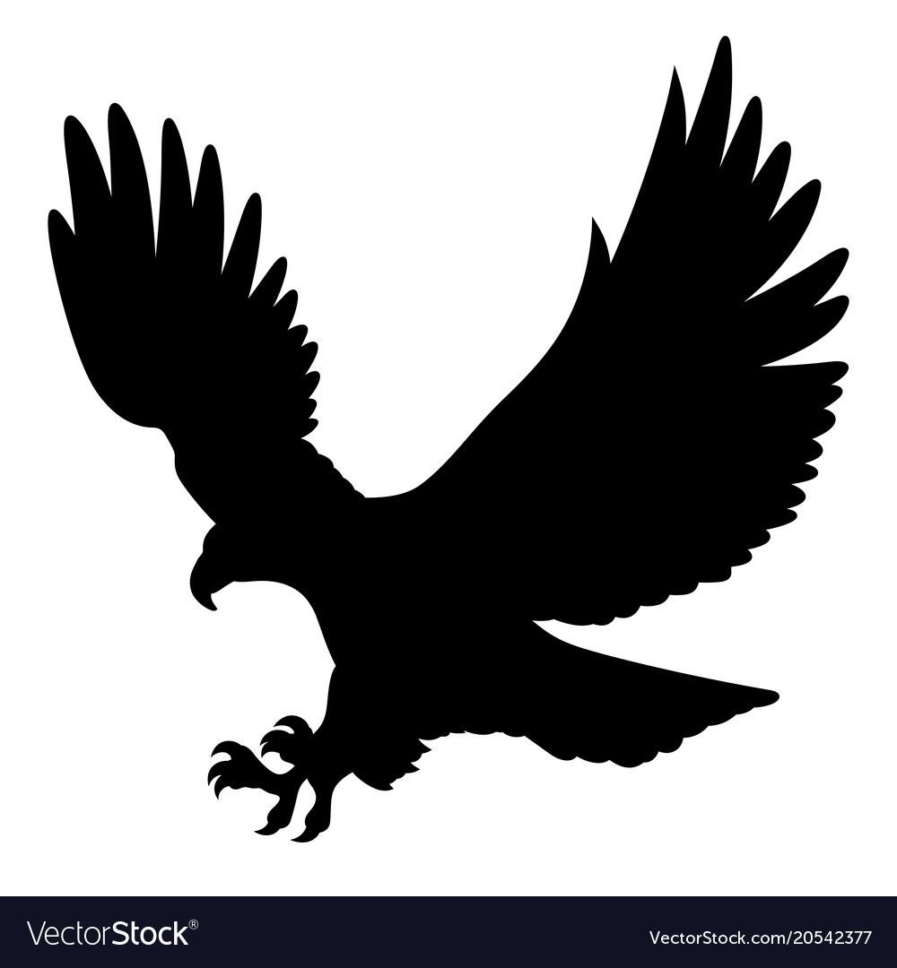 Ястреб-тетеревятник силуэт