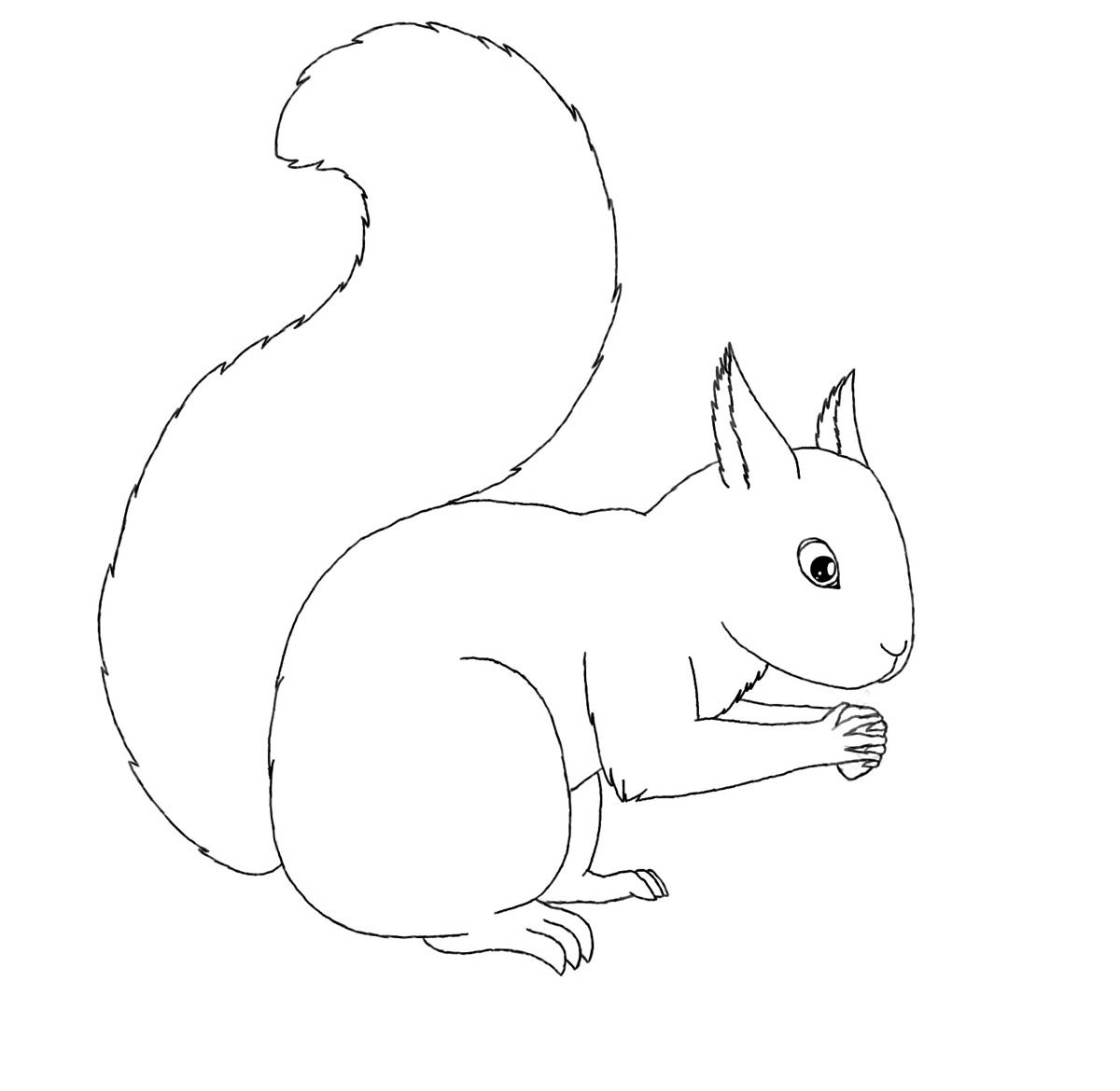 Трафарет белки для аппликации