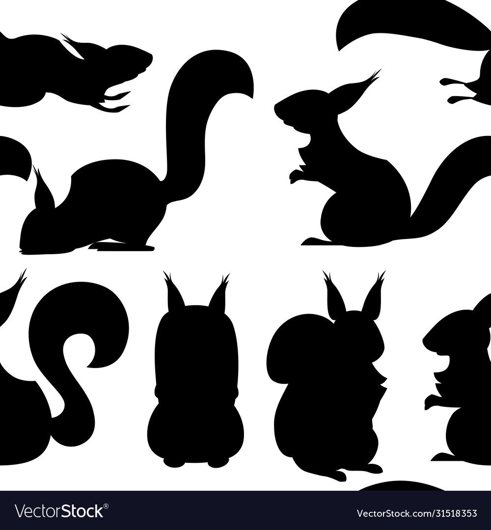 Белка силуэт вектор