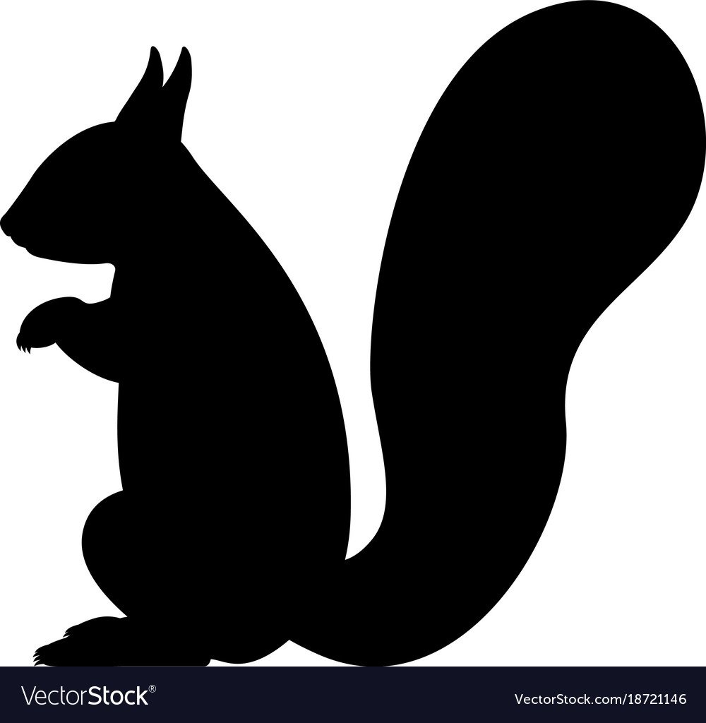 Белочка вектор чб