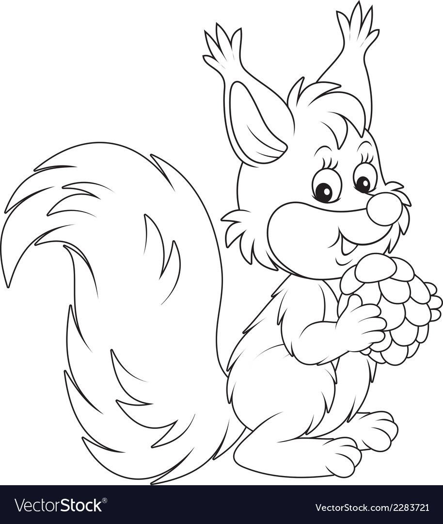 Белка с шишкой раскраска для детей