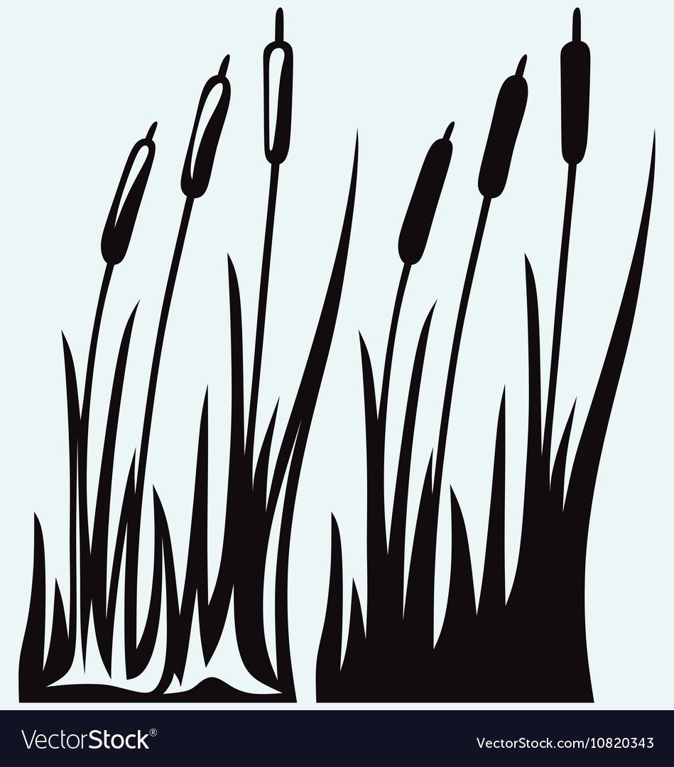 Трава раскраска