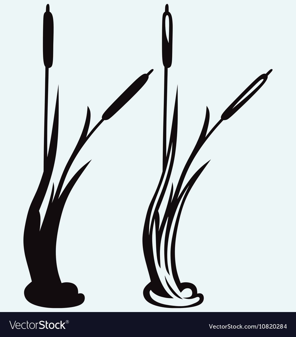 Трафареты для покраски лодки