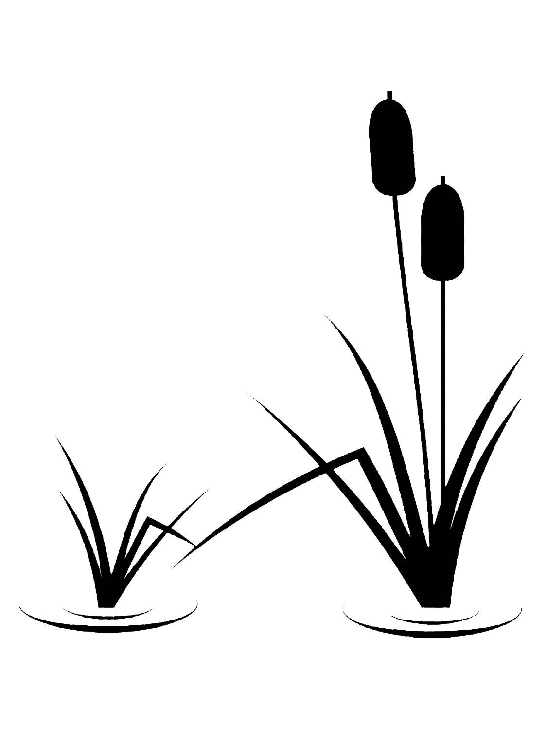 Тростник силуэт