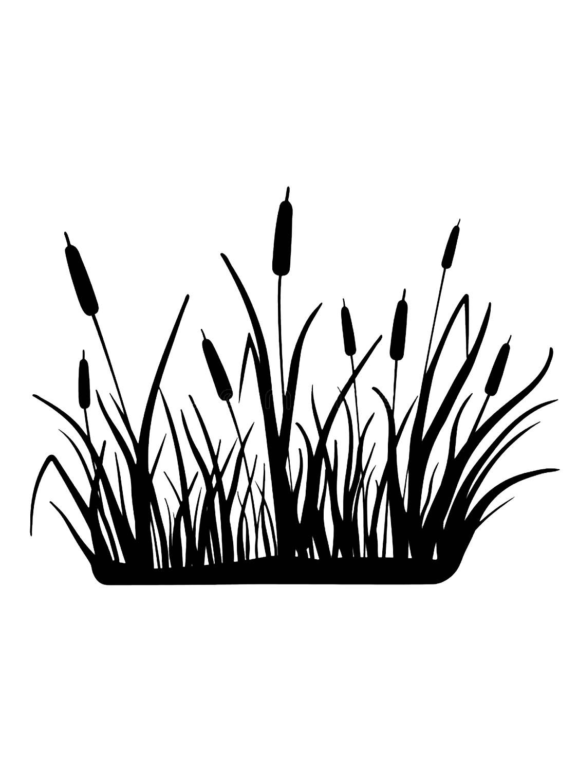 Трафарет камыша для покраски