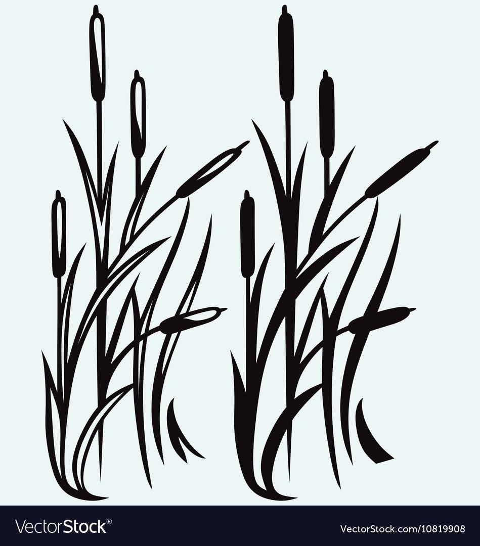 Трава стилизация