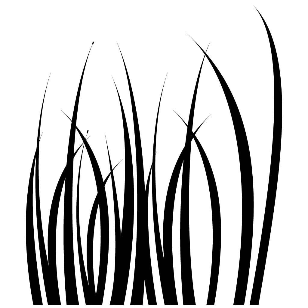 Камыш Графика