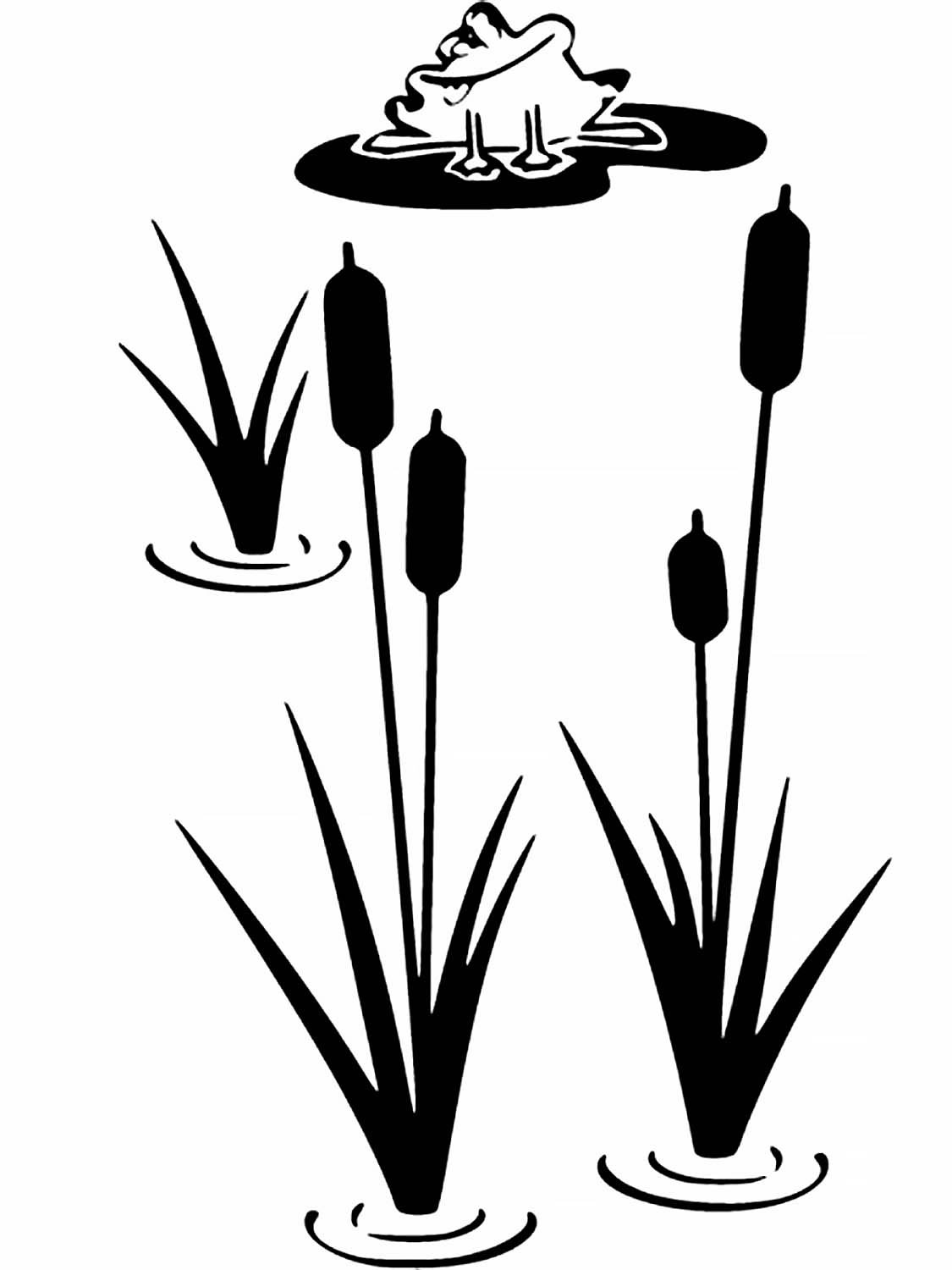 Пруд силуэт