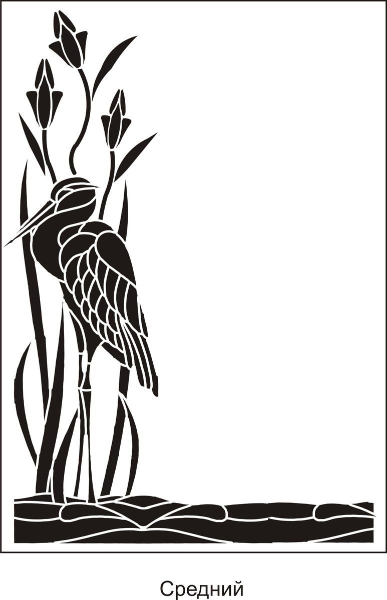 Камыш рисунок