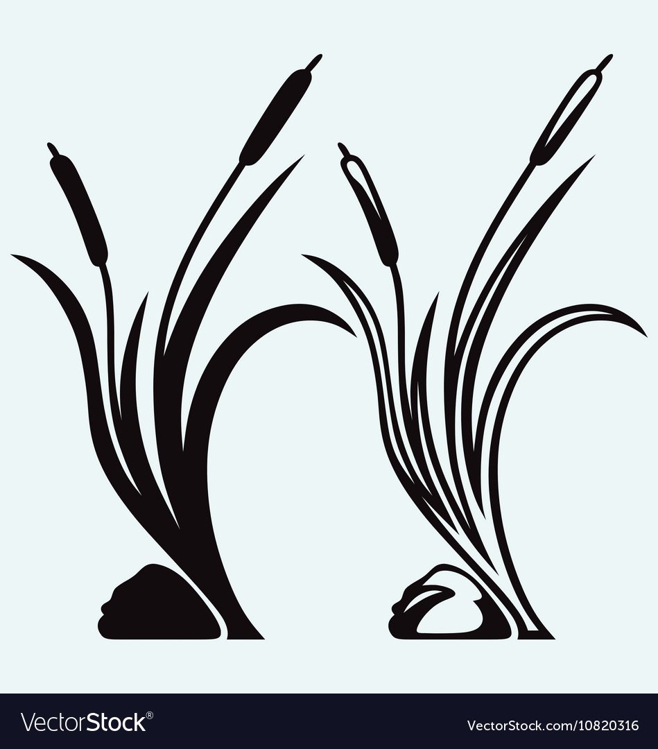 Трафарет камыш