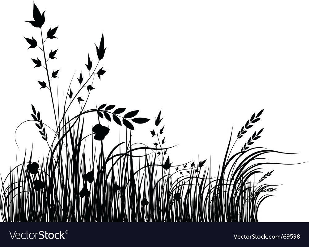 Раскраска камыши