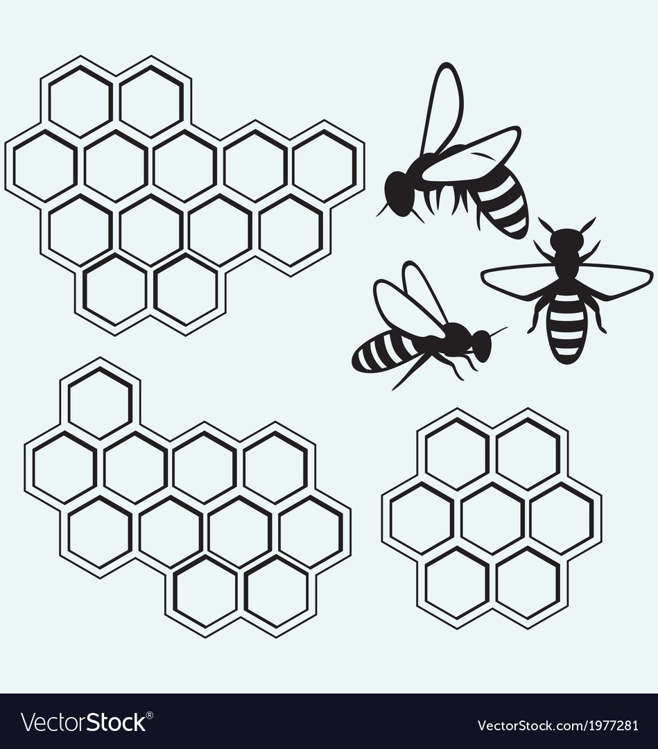 Трафарет соты