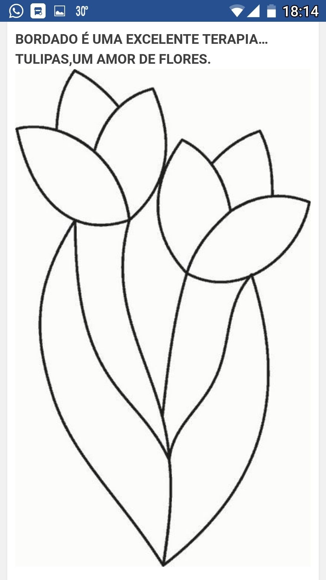 Тюльпан раскраска