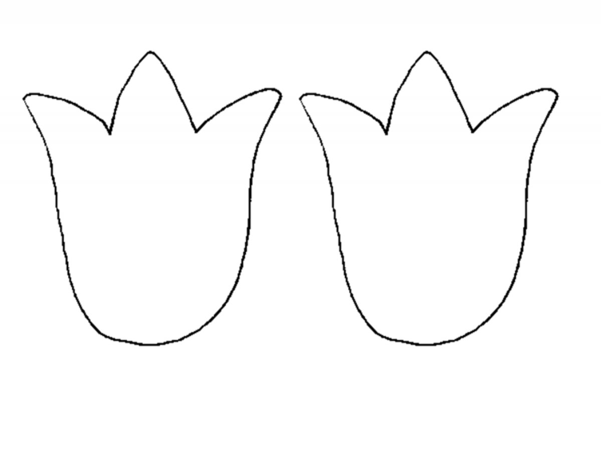 Тюльпан раскраска