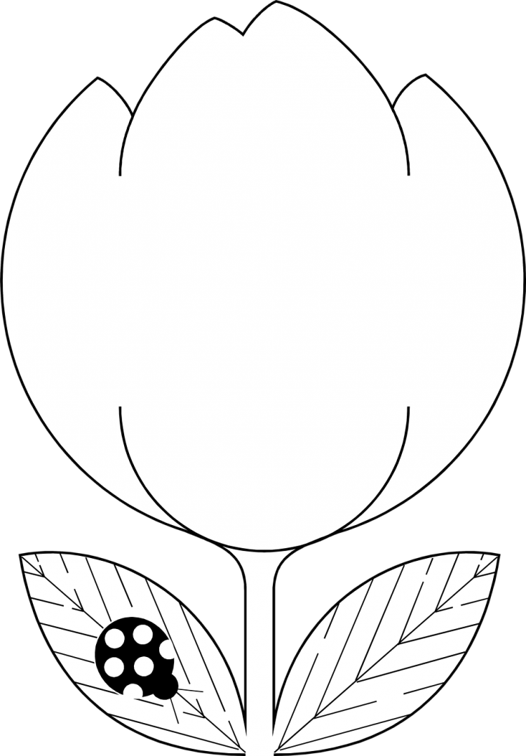 Стилизация тюльпана
