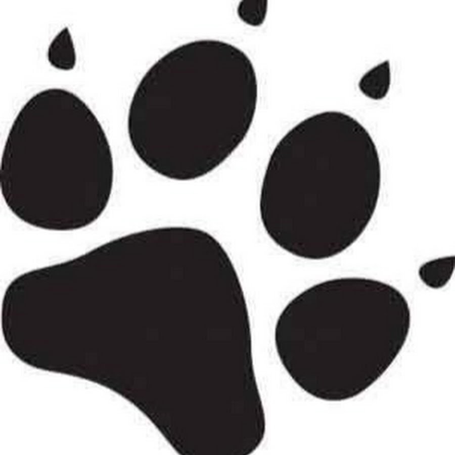 Отпечаток лапы собаки