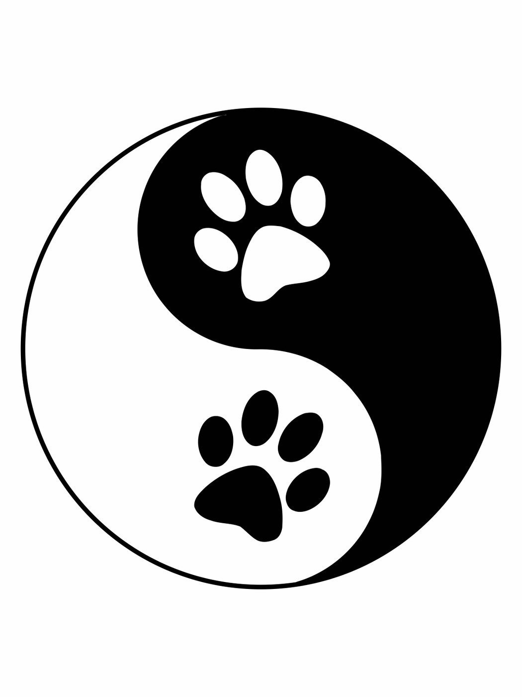 След лапы тигра