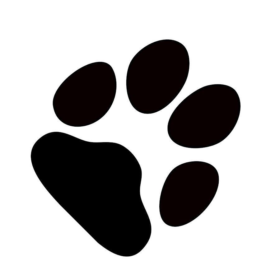 Собачьи лапки косточки