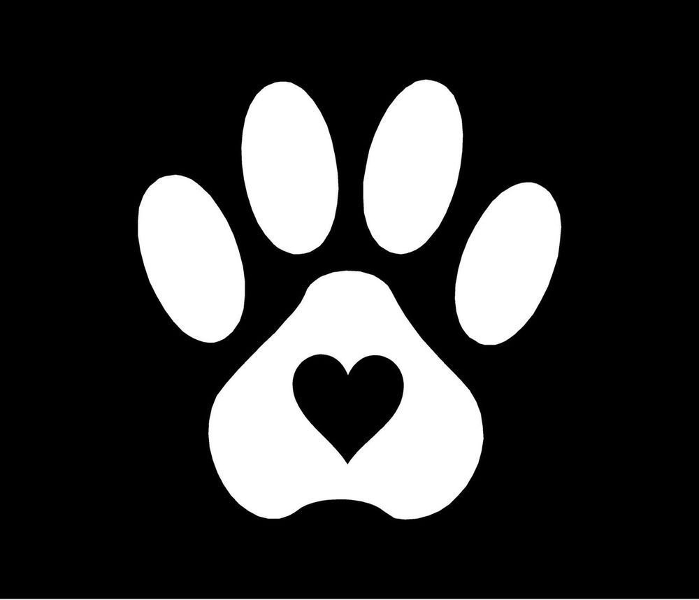 Отпечаток лапы волка