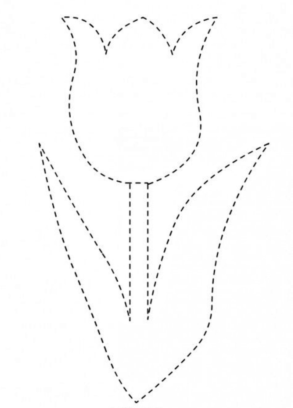 Лепесток ромашки