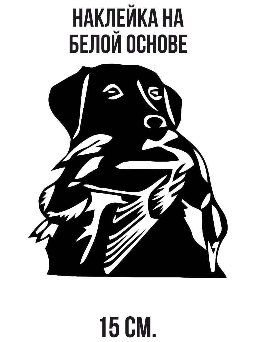 Лабрадор ретривер контур