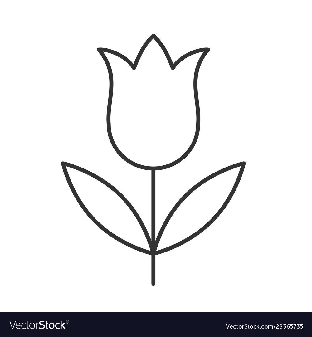 Эскиз тюльпана для вырезания