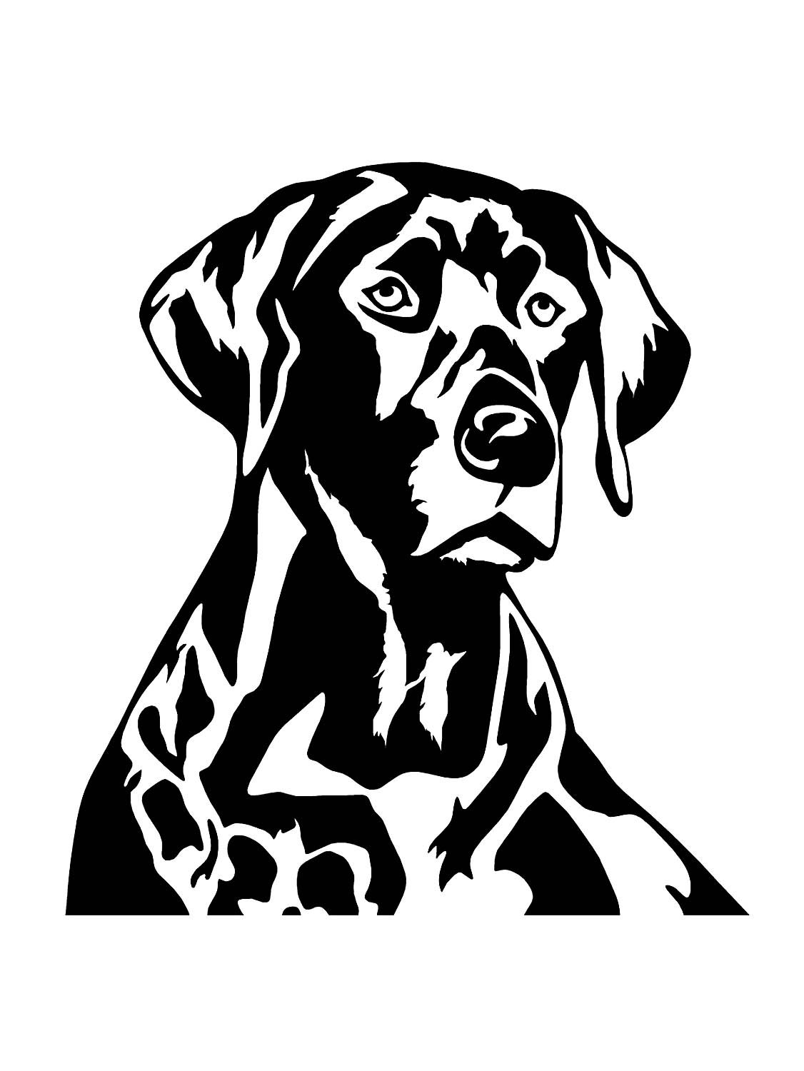 Лабрадор вектор