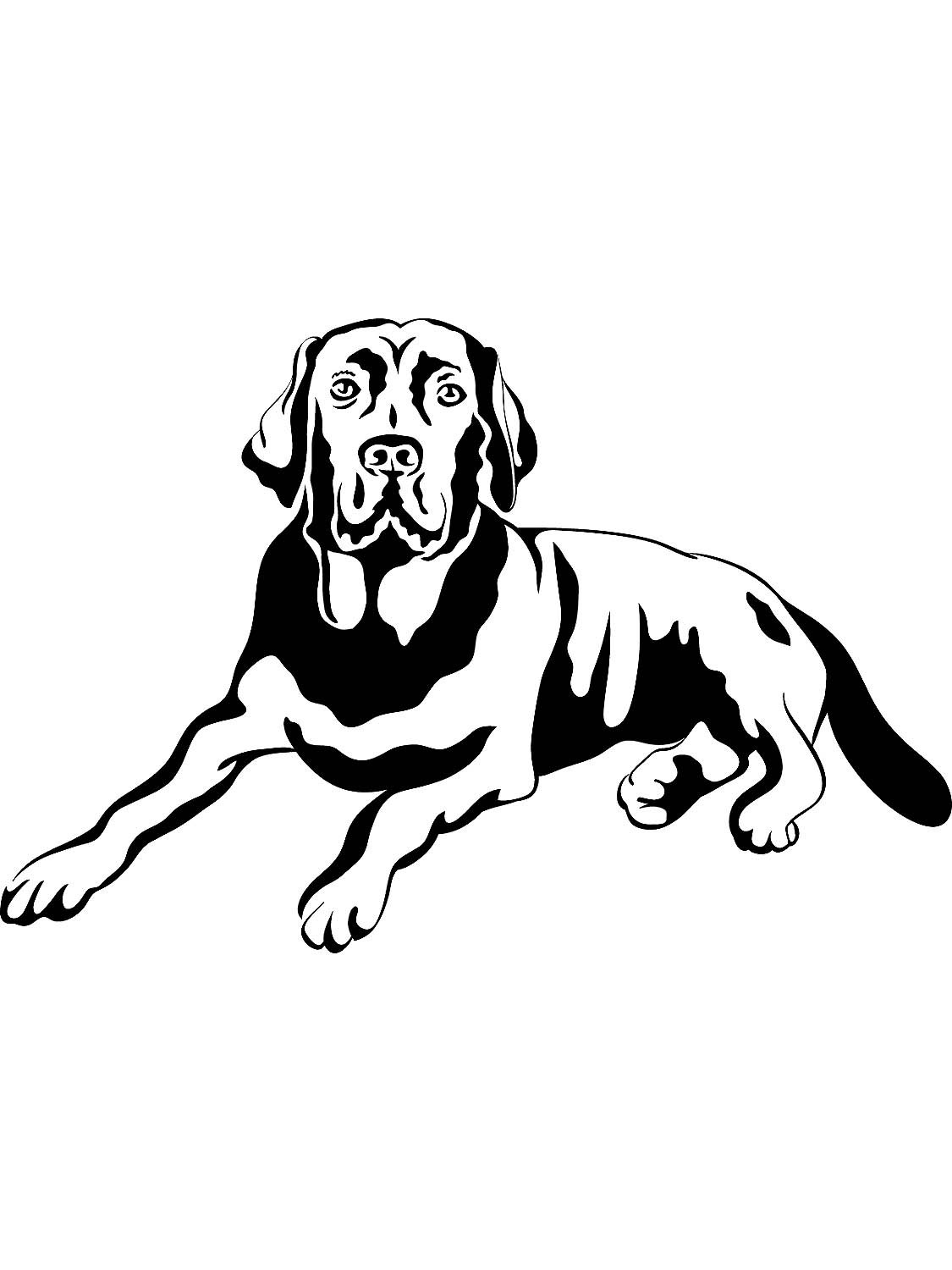 Собачка для выжигания