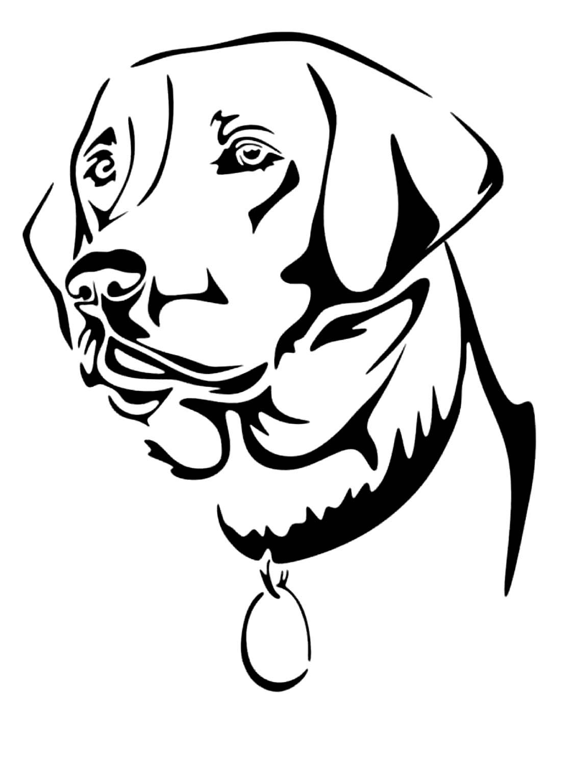 Лабрадор Графика