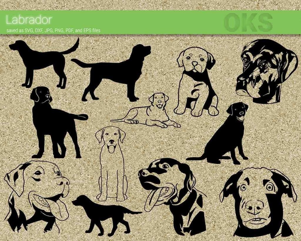 Трафарет собаки лабрадор
