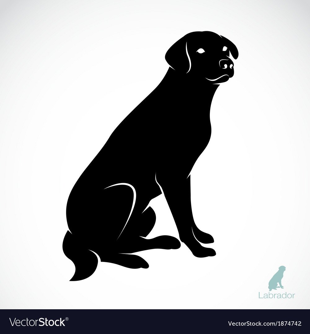Символика лабрадора