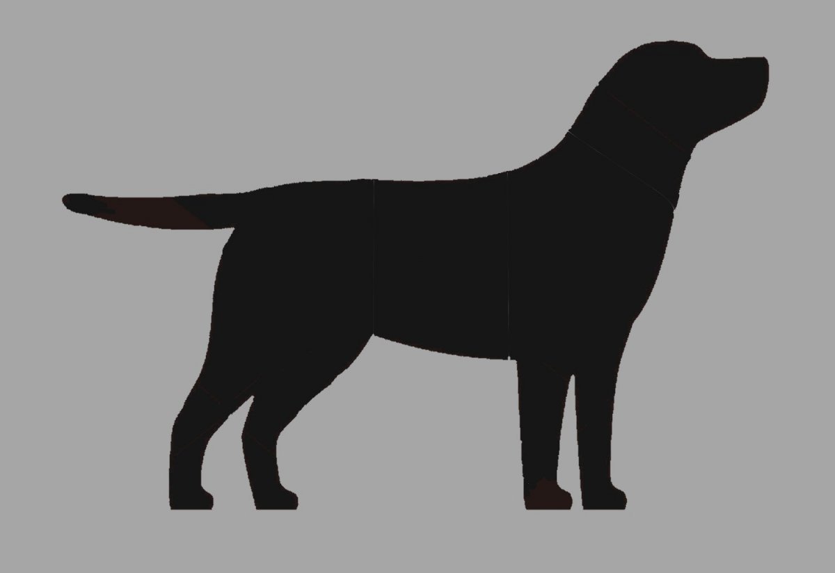 Лабрадор ретривер вектор черно белый