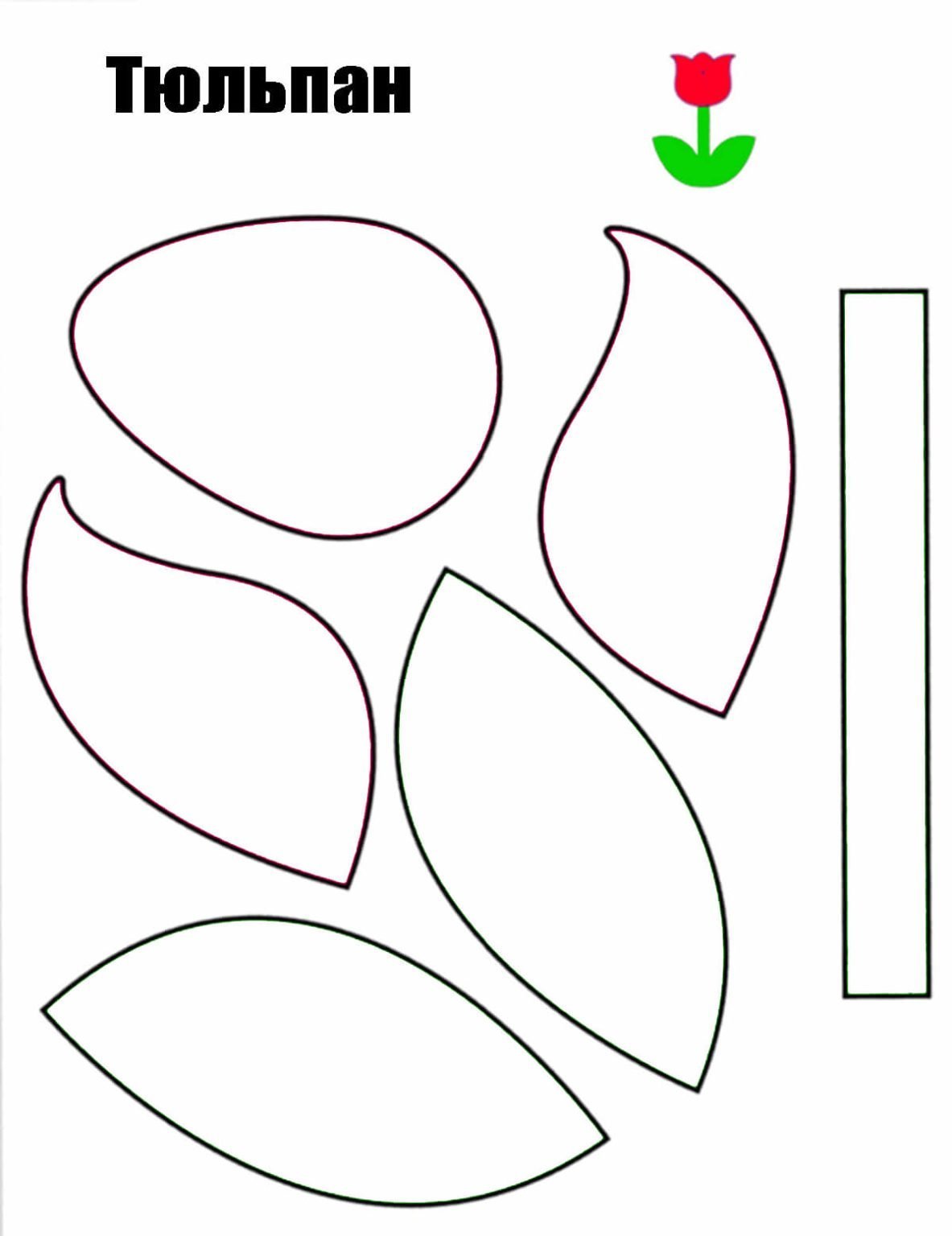 Разукрашка тюльпан бутон