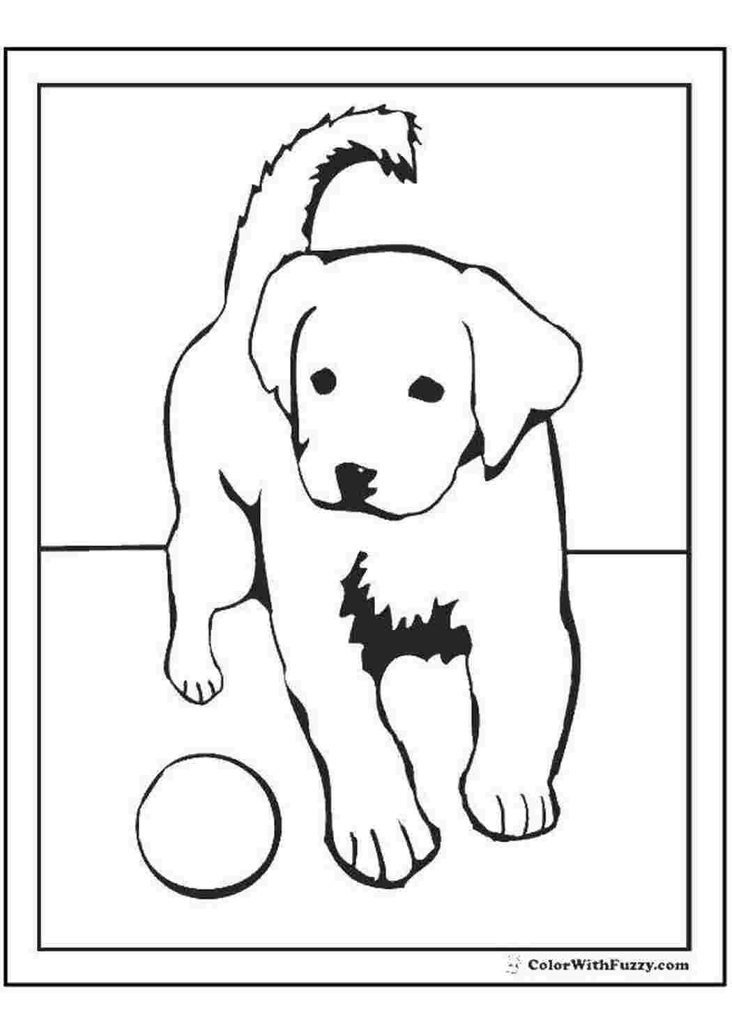 Лабрадор ретривер вектор