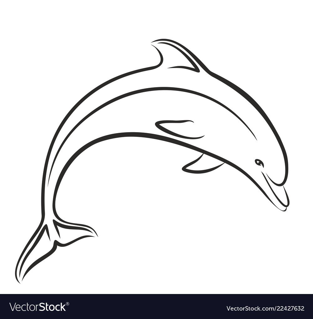 Дельфин рисунок черно белый