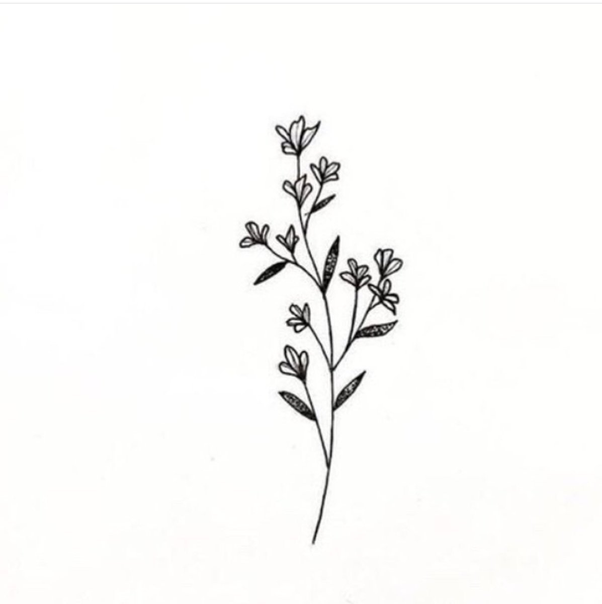 Цветные трафареты цветов